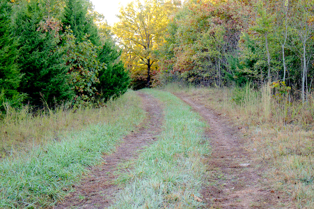 Premium Hunting Ground with Shop and Water Features