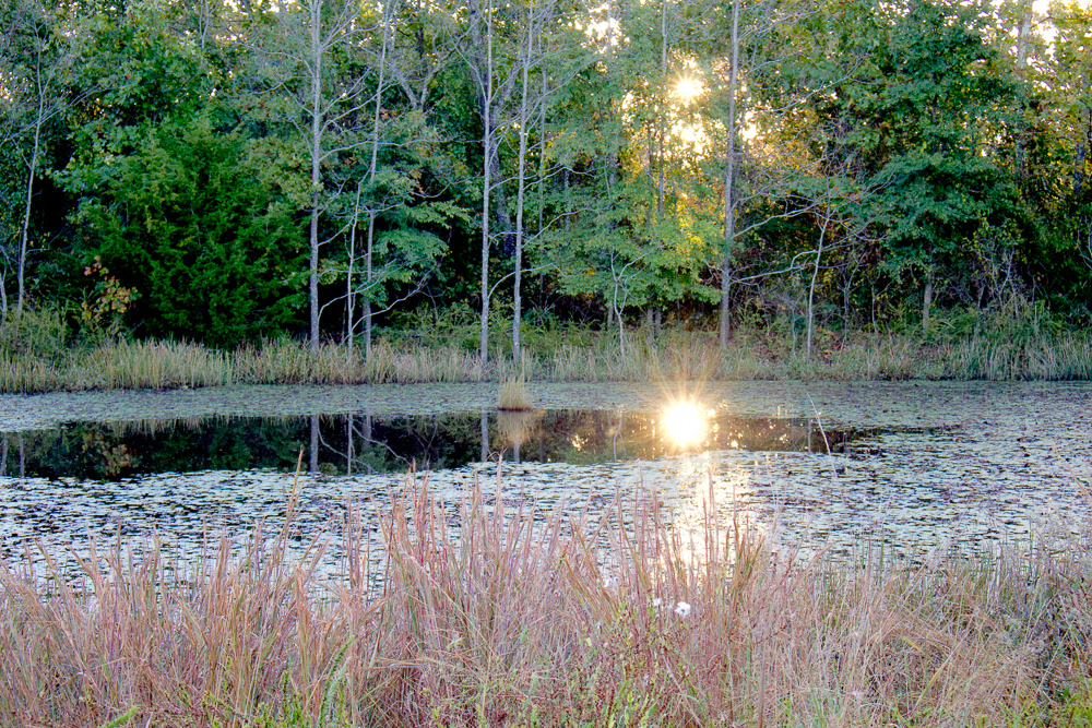 Premium Hunting Ground with Shop and Water Features