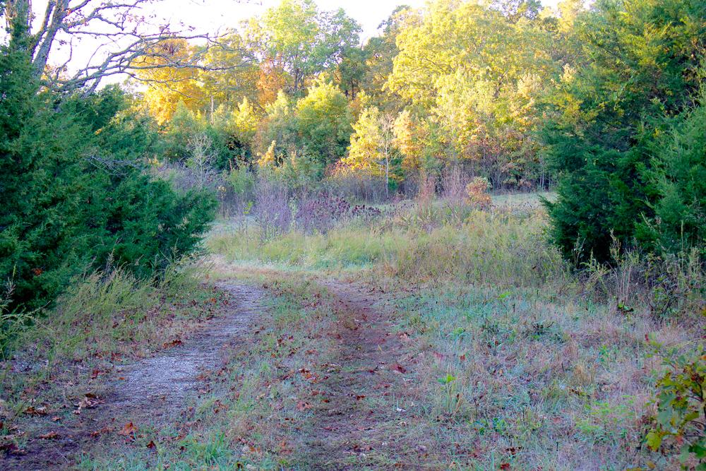 Premium Hunting Ground with Shop and Water Features