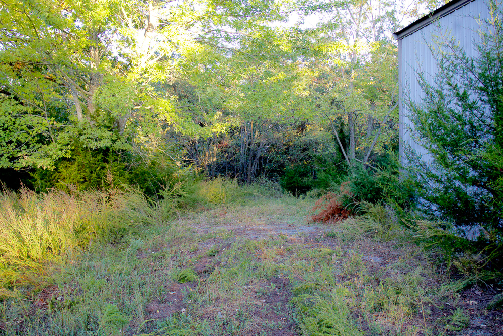 Premium Hunting Ground with Shop and Water Features