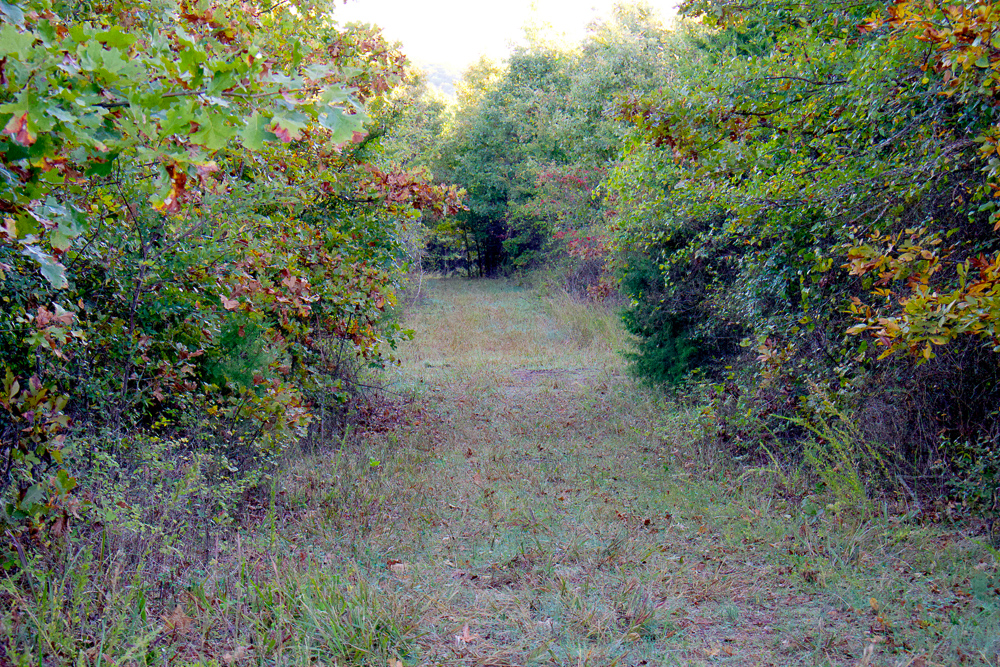 Premium Hunting Ground with Shop and Water Features
