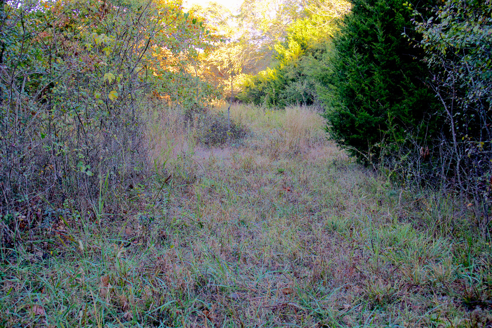 Premium Hunting Ground with Shop and Water Features