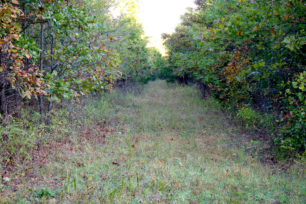 Premium Hunting Ground with Shop and Water Features