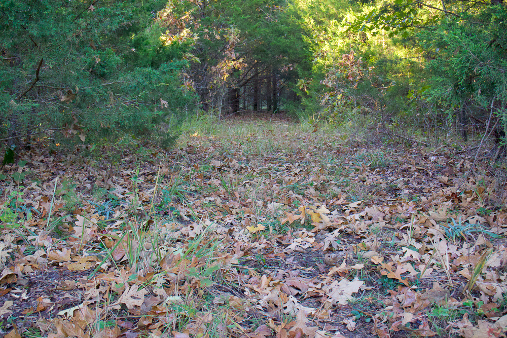 Premium Hunting Ground with Shop and Water Features