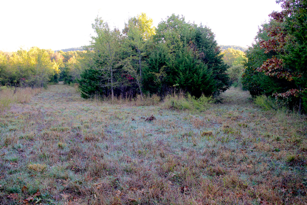 Premium Hunting Ground with Shop and Water Features