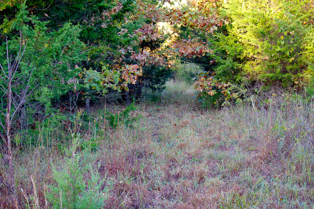 Premium Hunting Ground with Shop and Water Features