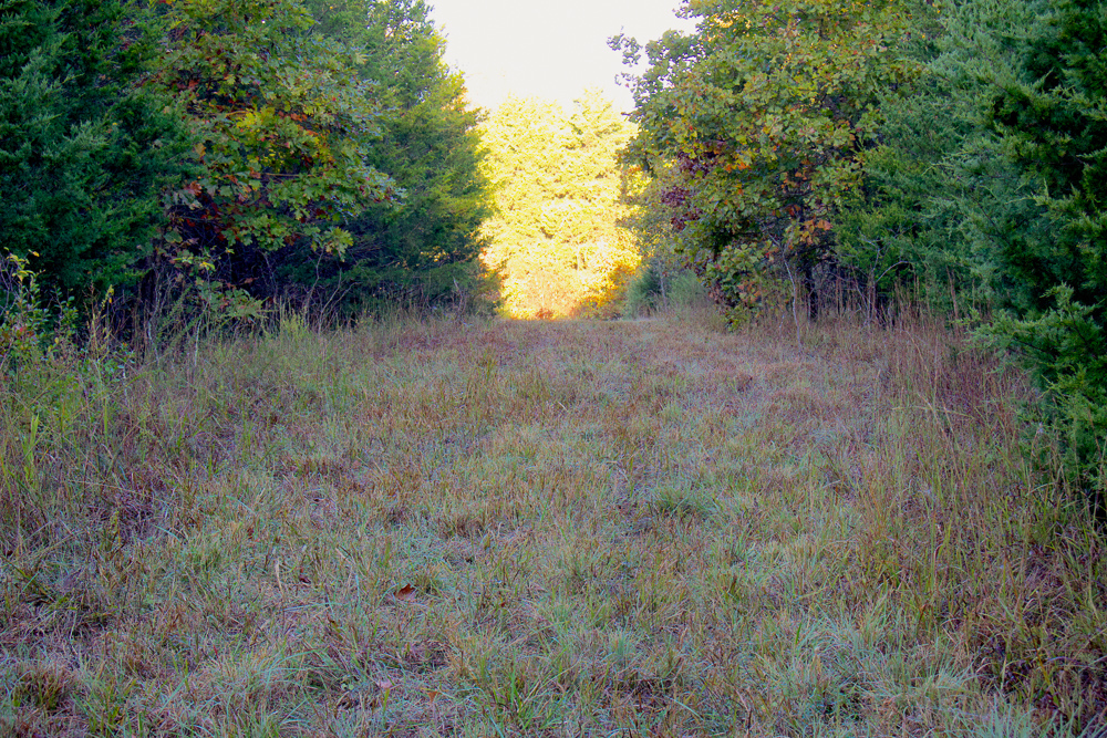 Premium Hunting Ground with Shop and Water Features
