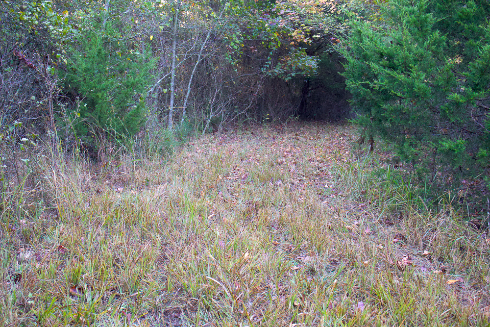 Premium Hunting Ground with Shop and Water Features