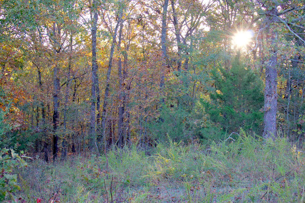 Premium Hunting Ground with Shop and Water Features