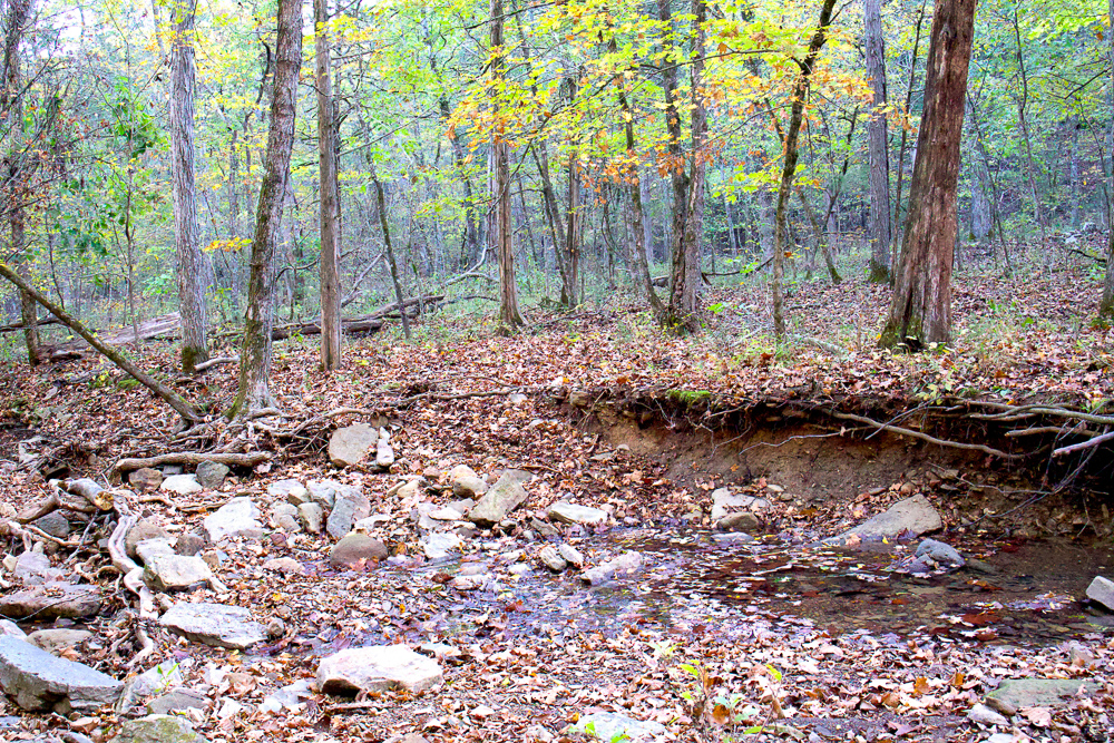 Premium Hunting Ground with Shop and Water Features