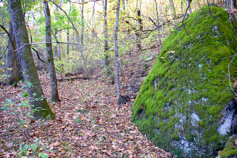 Premium Hunting Ground with Shop and Water Features