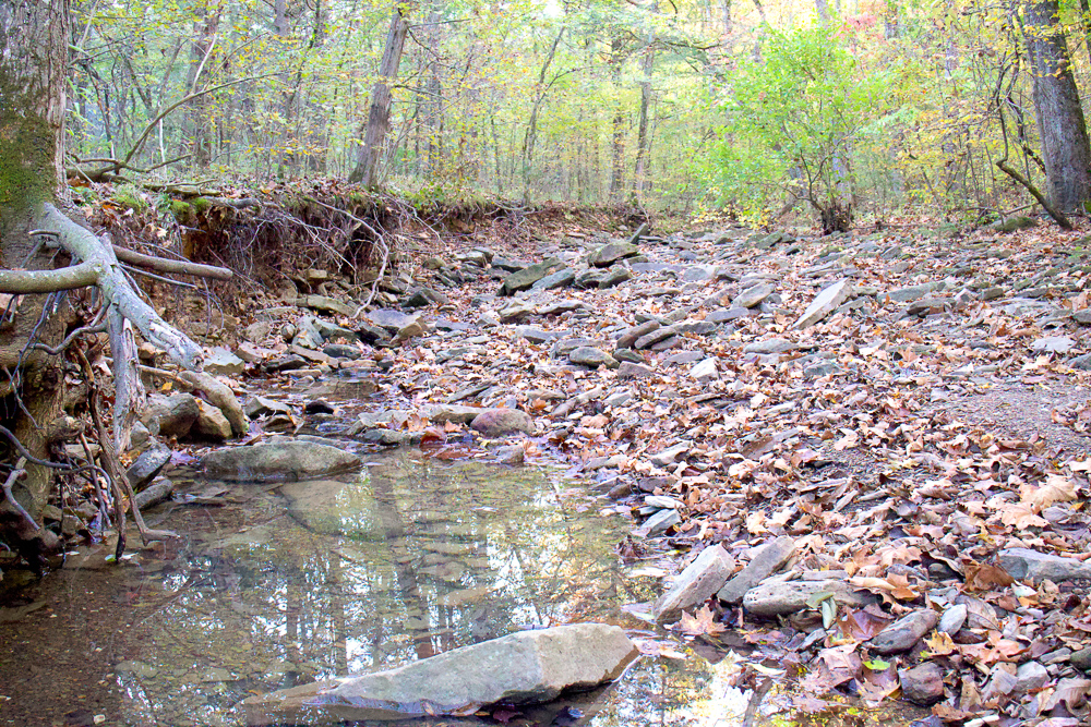 Premium Hunting Ground with Shop and Water Features