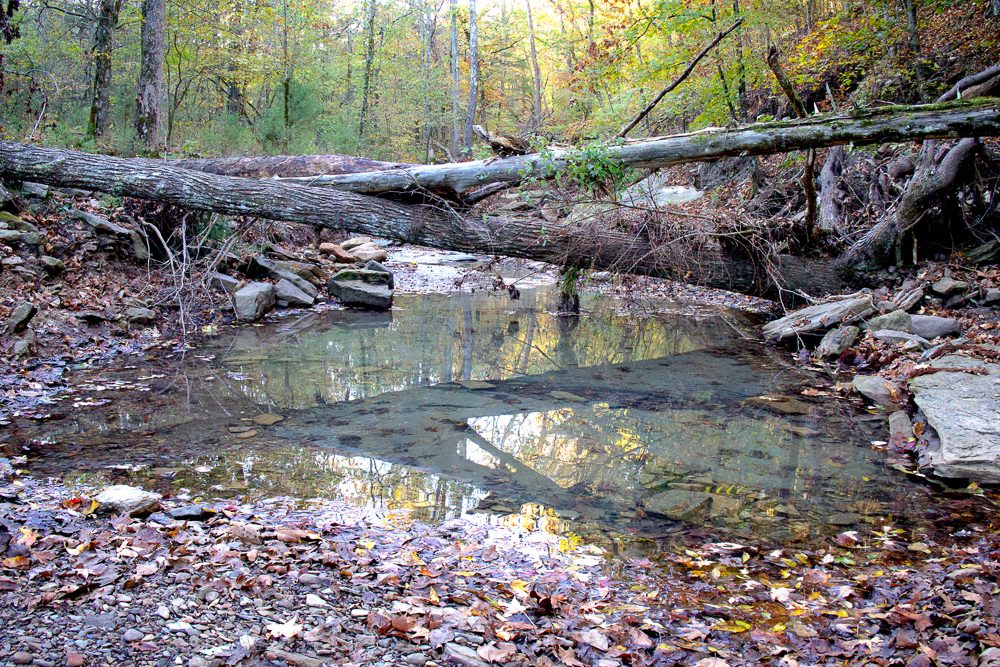 Premium Hunting Ground with Shop and Water Features