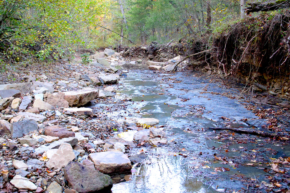 Premium Hunting Ground with Shop and Water Features