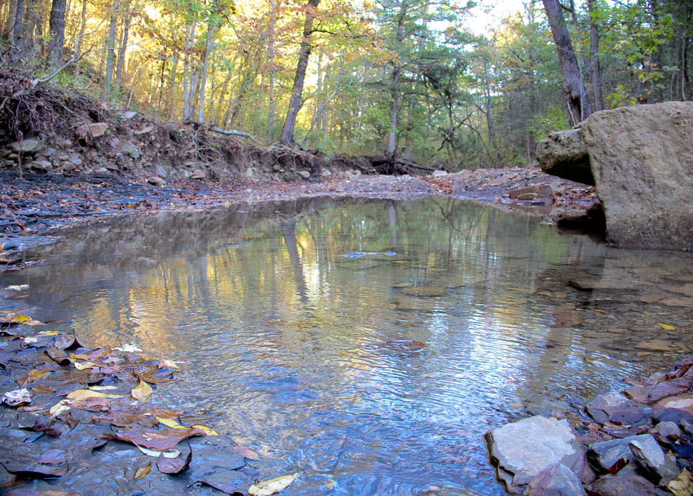Premium Hunting Ground with Shop and Water Features