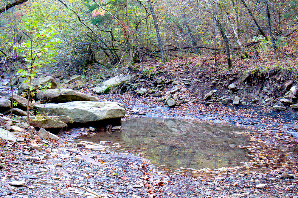 Premium Hunting Ground with Shop and Water Features