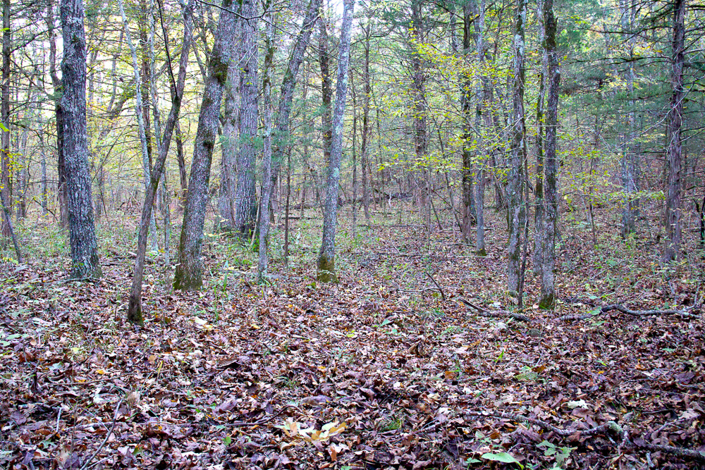 Premium Hunting Ground with Shop and Water Features