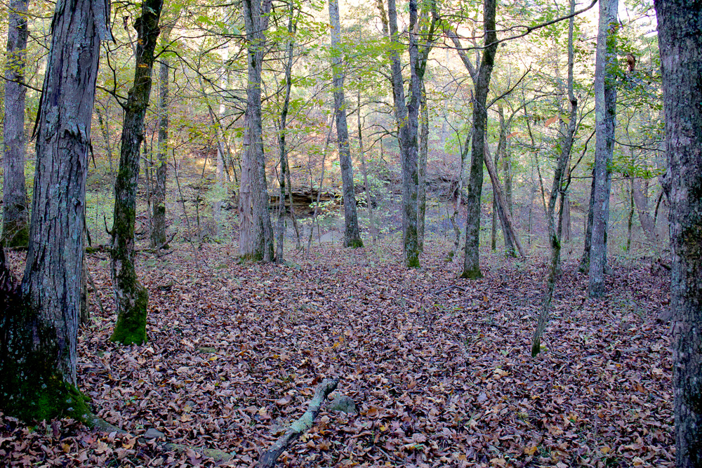 Premium Hunting Ground with Shop and Water Features