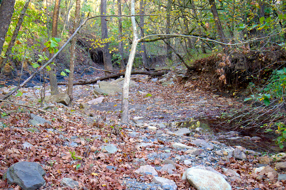 Premium Hunting Ground with Shop and Water Features