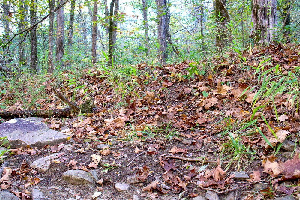 Premium Hunting Ground with Shop and Water Features