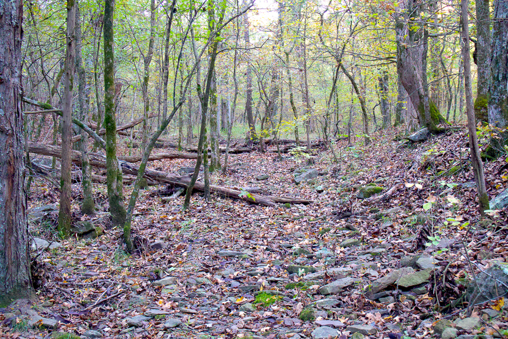 Premium Hunting Ground with Shop and Water Features