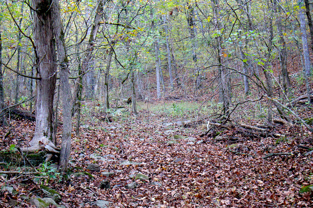 Premium Hunting Ground with Shop and Water Features