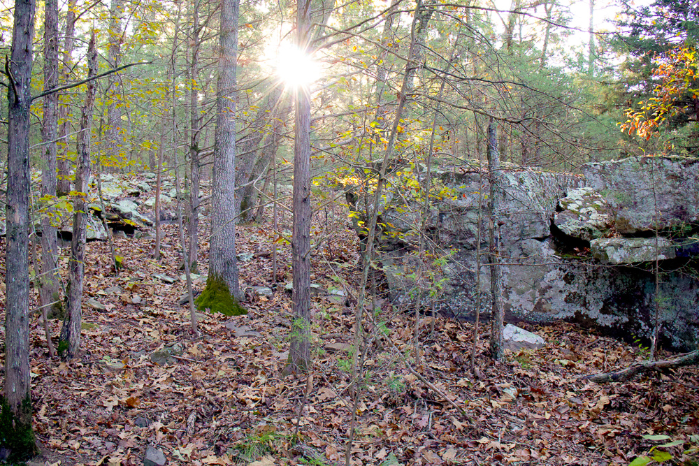 Premium Hunting Ground with Shop and Water Features