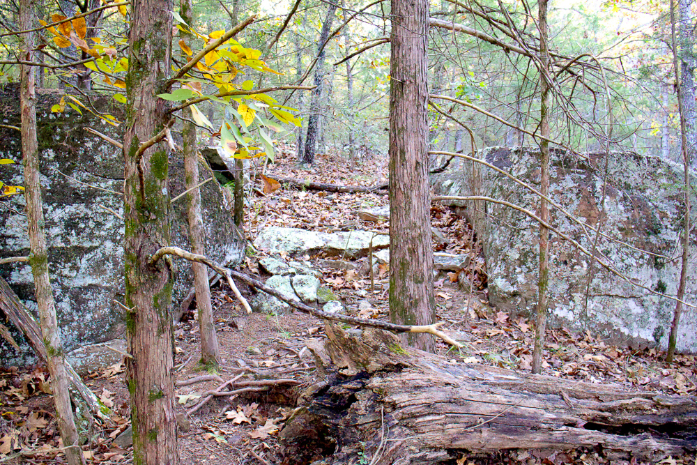 Premium Hunting Ground with Shop and Water Features