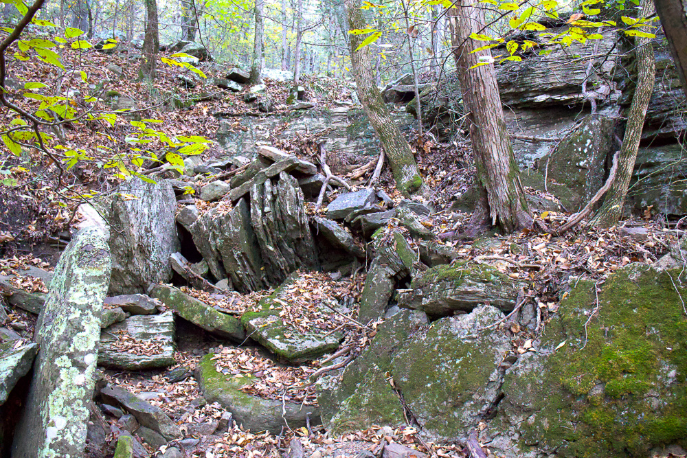 Premium Hunting Ground with Shop and Water Features