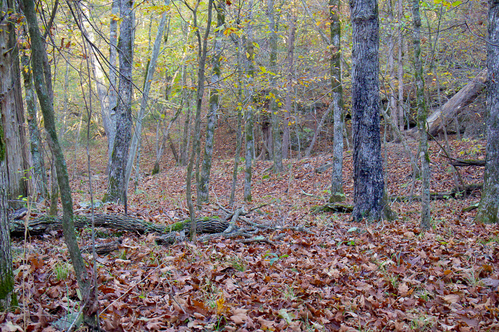 Premium Hunting Ground with Shop and Water Features