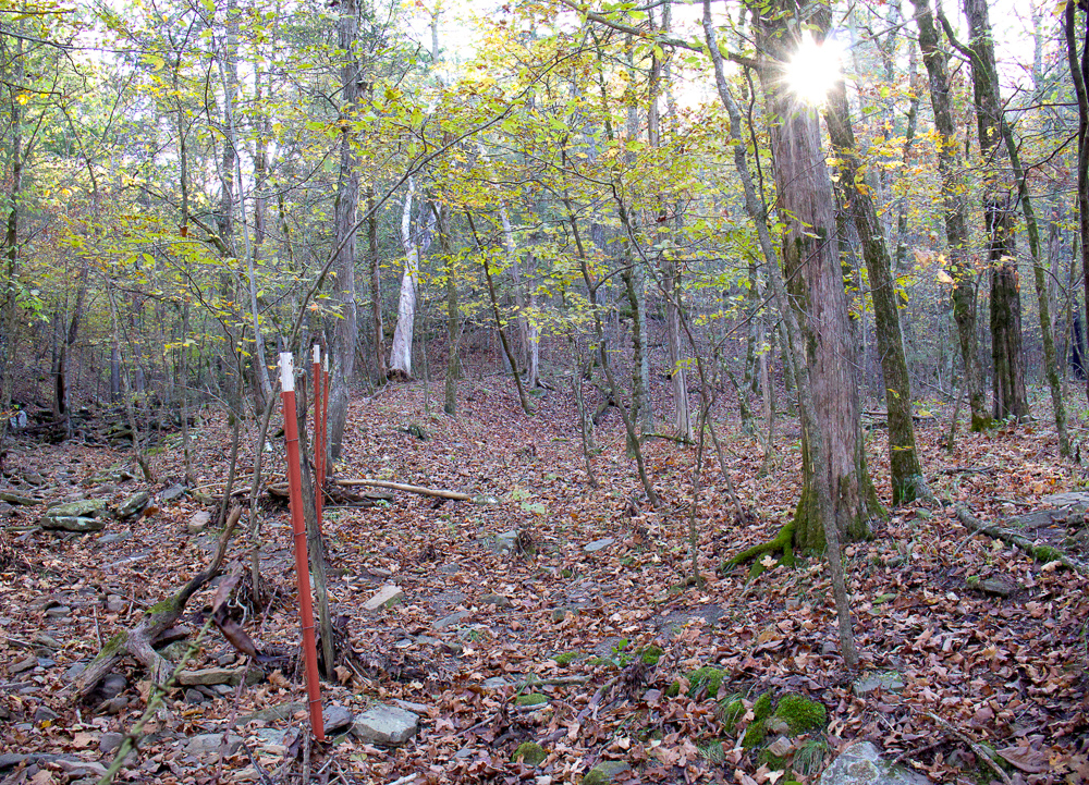 Premium Hunting Ground with Shop and Water Features