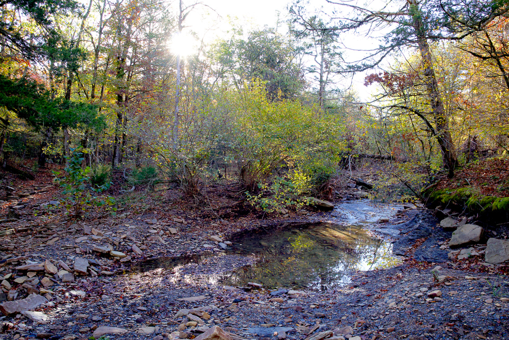Premium Hunting Ground with Shop and Water Features