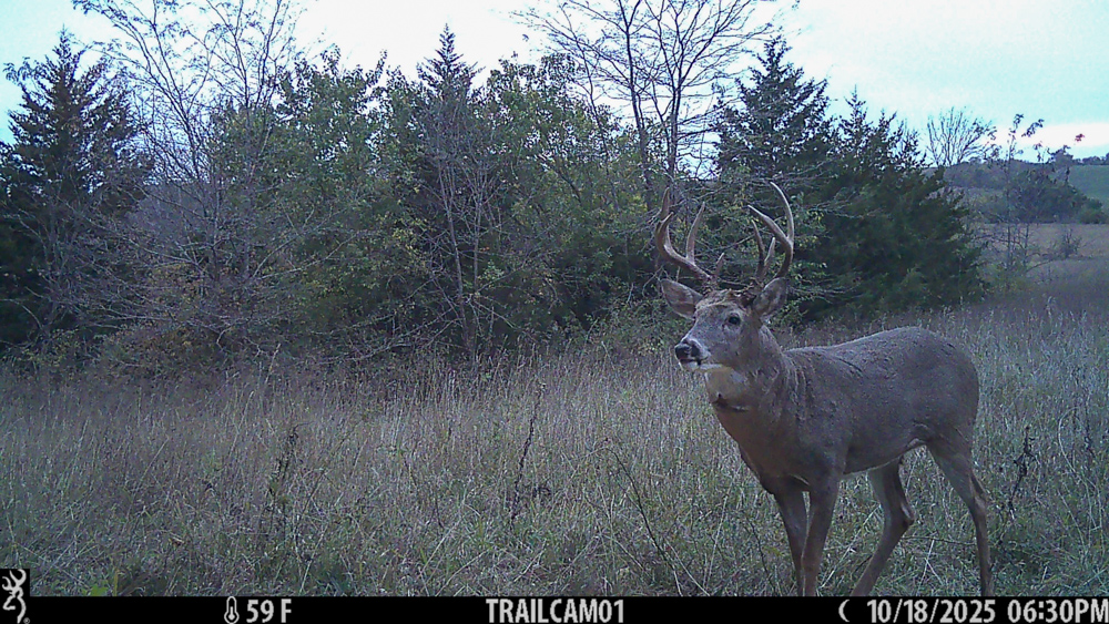 Exceptional Pasture Farm with World-Class Hunting & Recreational Potential