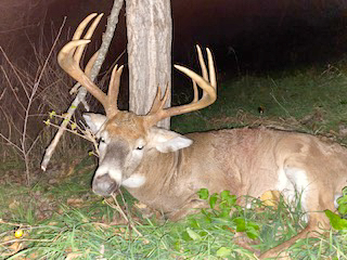 Hunting Paradise with Income