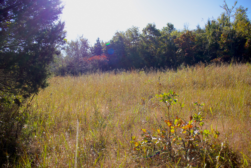 Premium Hunting Ground with Shop and Water Features
