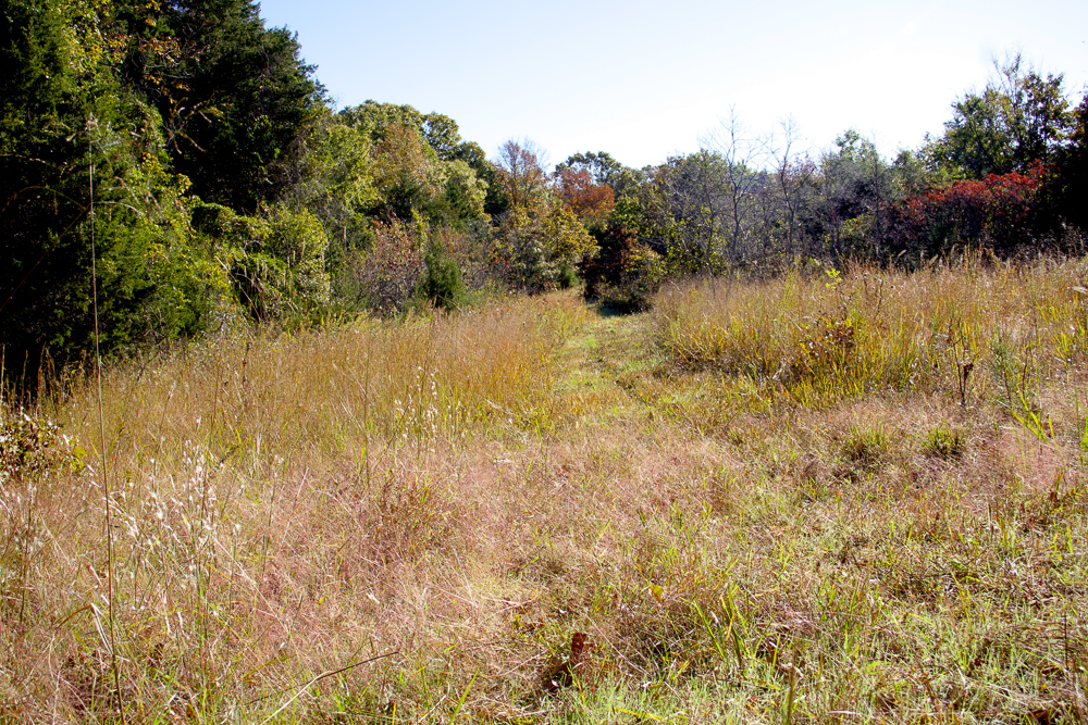 Premium Hunting Ground with Shop and Water Features