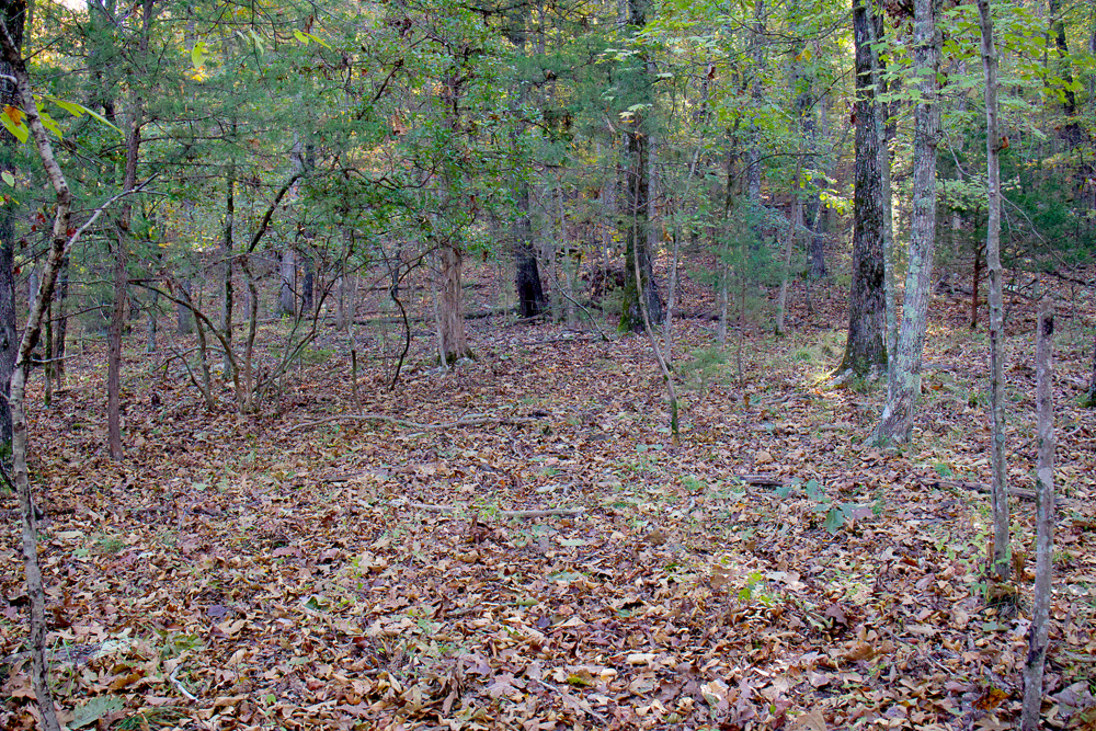 Premium Hunting Ground with Shop and Water Features