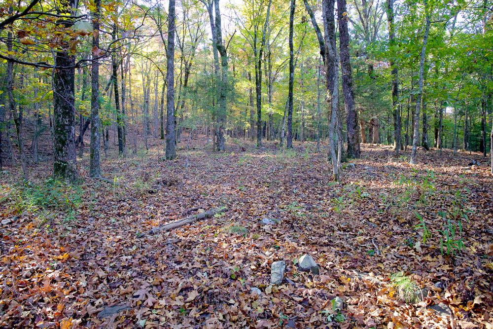 Premium Hunting Ground with Shop and Water Features