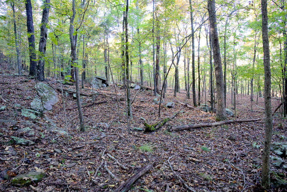 Premium Hunting Ground with Shop and Water Features