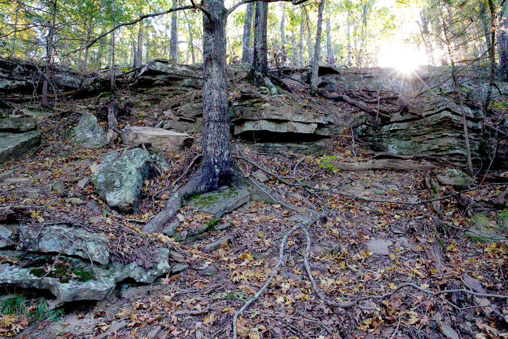 Premium Hunting Ground with Shop and Water Features