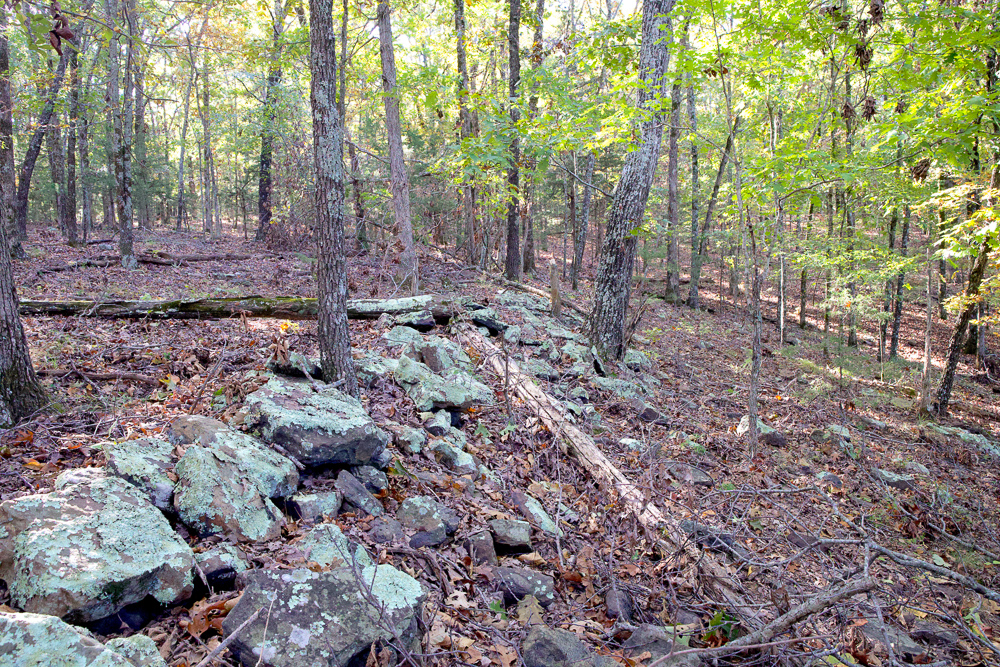 Premium Hunting Ground with Shop and Water Features
