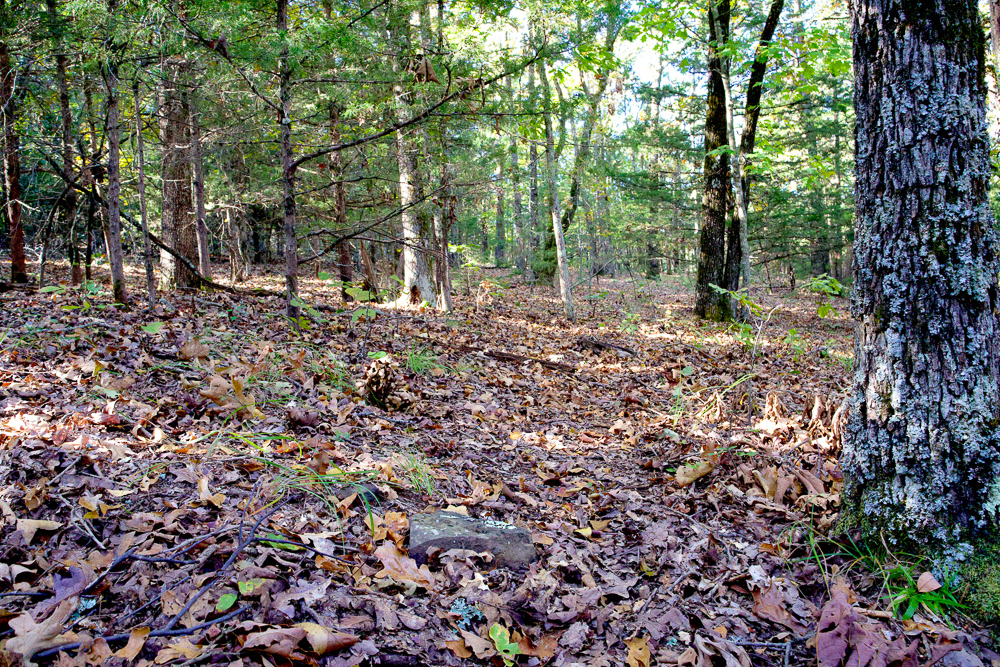 Premium Hunting Ground with Shop and Water Features