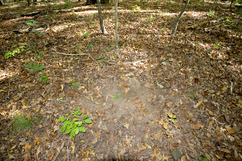 Premium Hunting Ground with Shop and Water Features