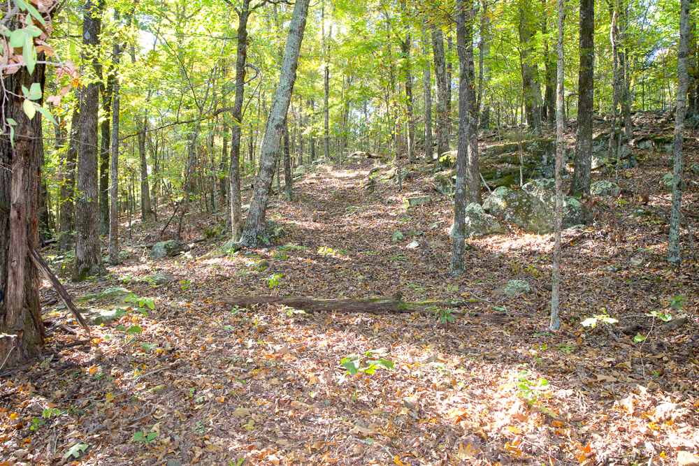 Premium Hunting Ground with Shop and Water Features