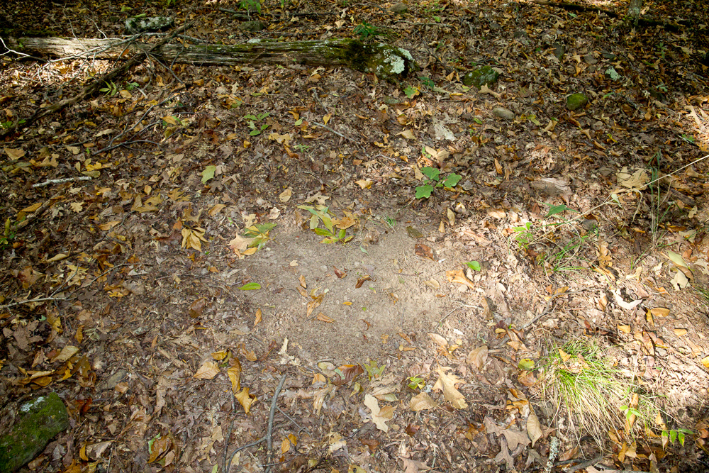 Premium Hunting Ground with Shop and Water Features