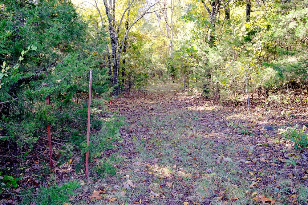 Premium Hunting Ground with Shop and Water Features