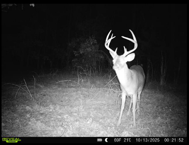 Multi-Use Land with Duck Pond, Year-Round Creek, and Prime Hunting Opportunities