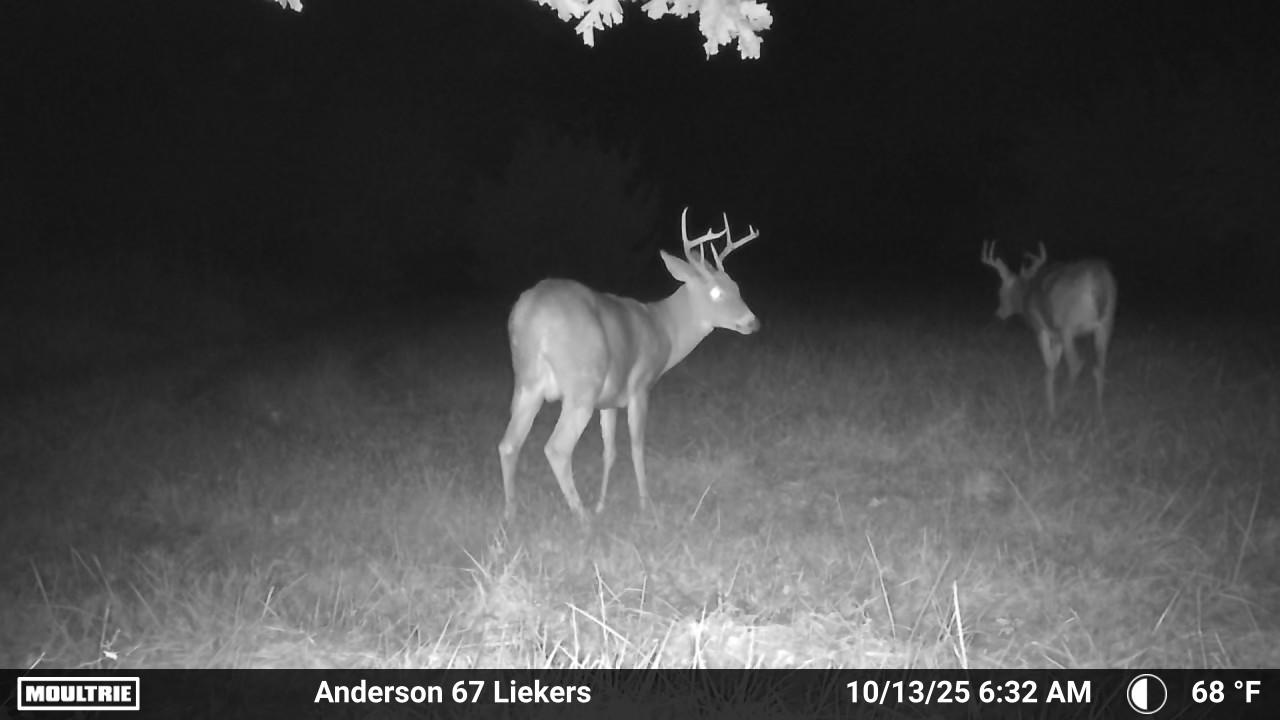 Luxury Country Living with Breathtaking Views 40 Minutes from Overland Park