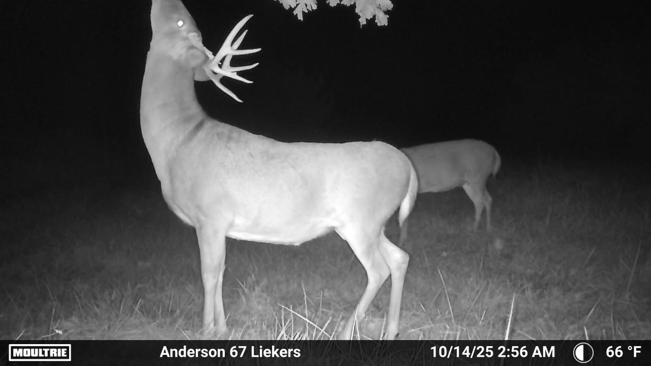 Luxury Country Living with Breathtaking Views 40 Minutes from Overland Park