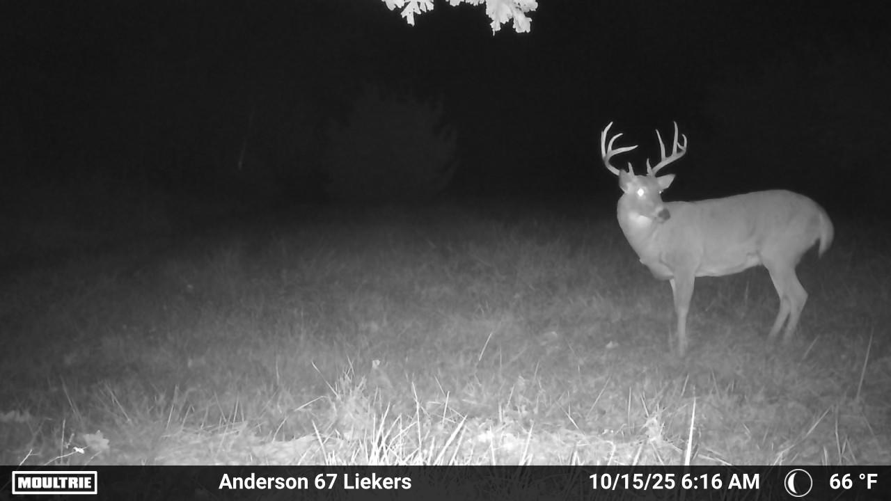 Luxury Country Living with Breathtaking Views 40 Minutes from Overland Park